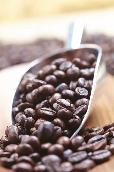 Coffee beans and scoop — Stock Photo, Image