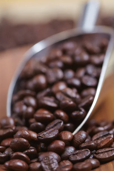 Kaffebönor och -skopa — Stockfoto