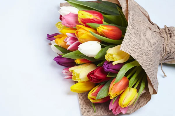 Strauß bunter Tulpen — Stockfoto