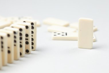 Domino adet yakın çekim