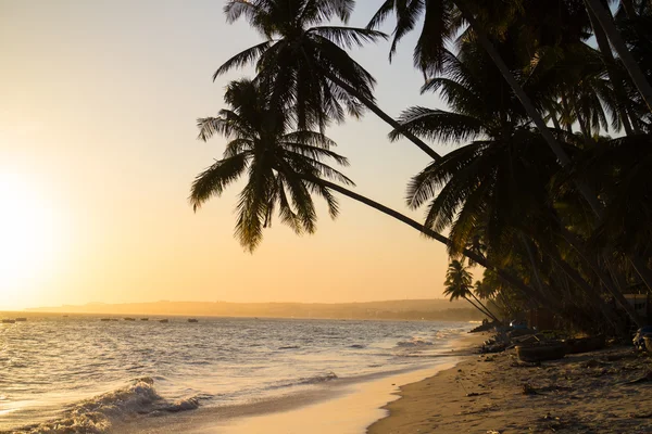 Bela praia tropical — Fotografia de Stock