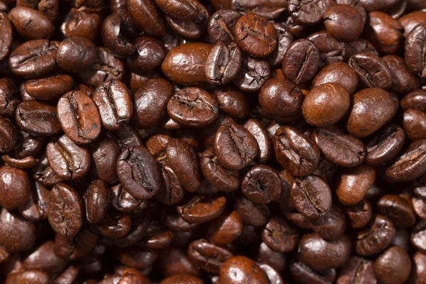 Kaffebönor i närbild — Stockfoto