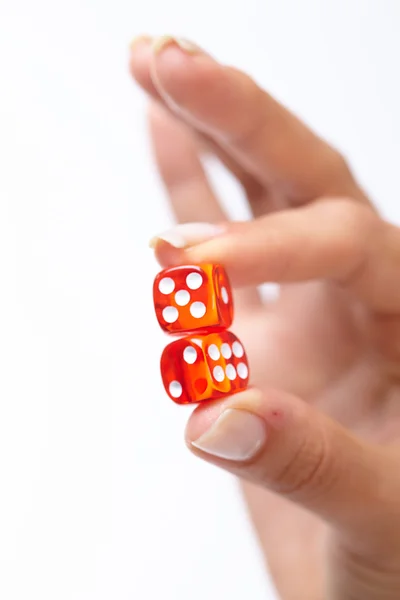 Success dice in closeup — Stock Photo, Image