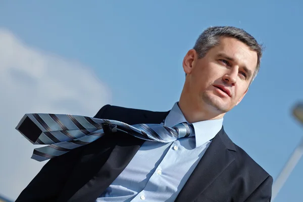 Handsome and succesful businessman — Stock Photo, Image