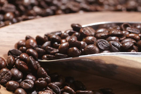 Roasted coffee beans — Stock Photo, Image