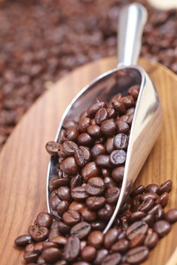 Kavrulmuş kahve çekirdeği.