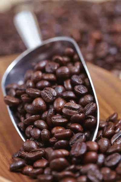 Roasted coffee beans — Stock Photo, Image