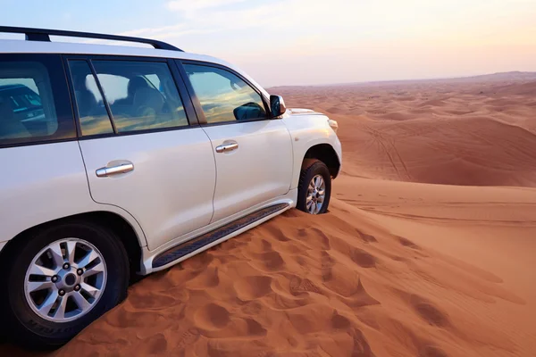 Çöl Safari araba