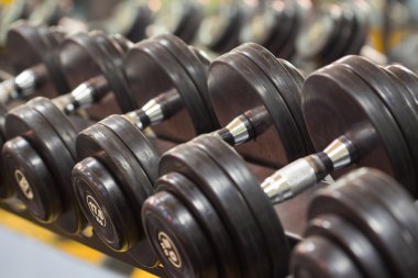 Fitness egzersizleri için halter