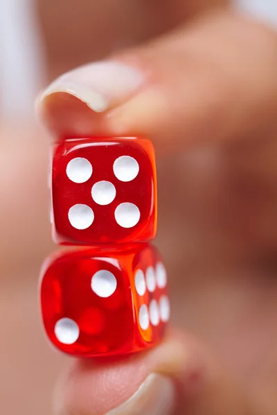 Success dice in closeup — Stock Photo, Image