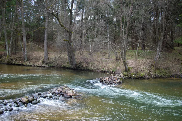 Râul forestier toamna — Fotografie, imagine de stoc