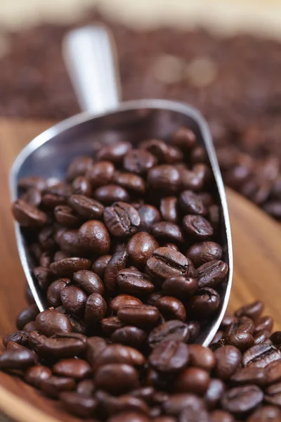 Roasted coffee beans — Stock Photo, Image