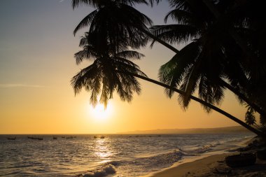 Güzel tropikal plaj