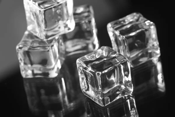 Cubes de glace humides — Photo