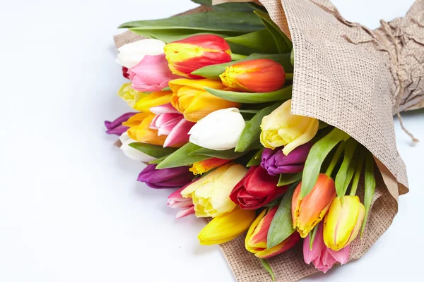 Schöne bunte Tulpen — Stockfoto