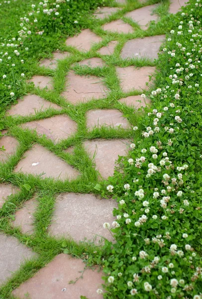 Old Path in garden — Stock Photo, Image