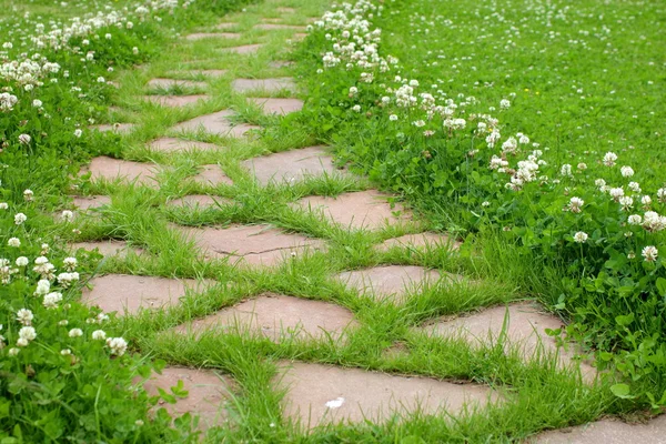 Old Path in garden — Stock Photo, Image