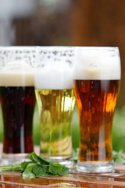 Gläser mit verschiedenen Bieren — Stockfoto