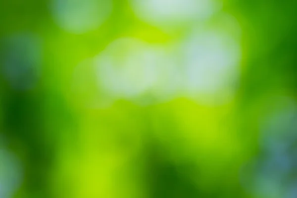 Nature green background — Stock Photo, Image