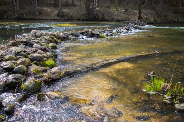 Sonbaharda orman nehri