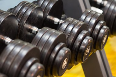 Fitness Egzersiz donanımları