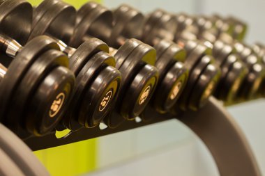 Fitness Egzersiz donanımları