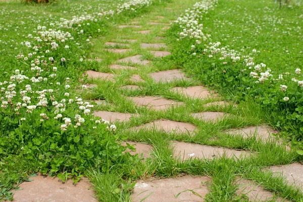 Old Path in garden — Stock Photo, Image
