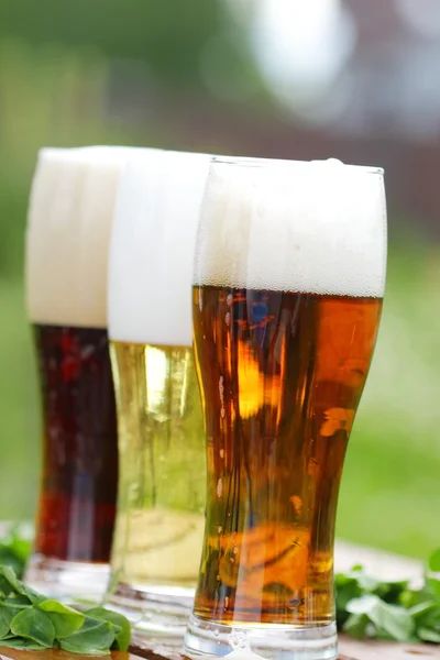 Glazen verschillende bier — Stockfoto