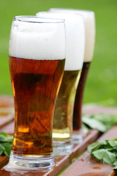 Glazen verschillende bier — Stockfoto