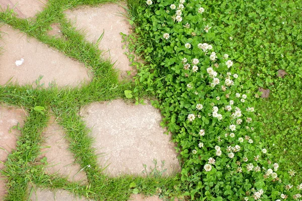 Vecchio Sentiero in giardino — Foto Stock