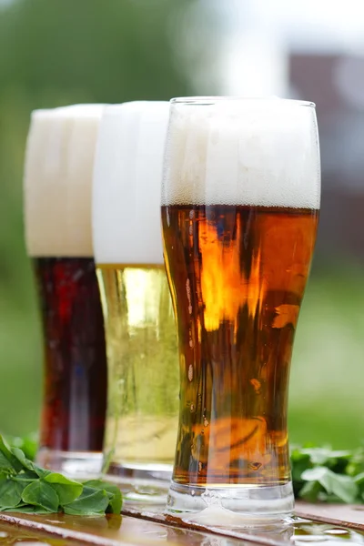 Sklenice piva různých — Stock fotografie