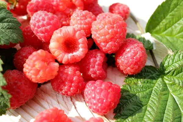桌上的新鲜树莓 — 图库照片