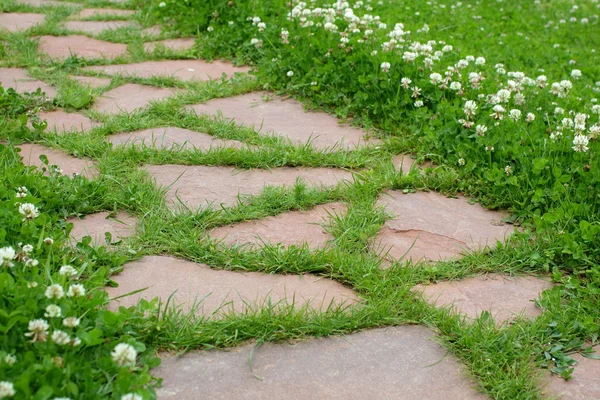 Ancien chemin dans le jardin — Photo