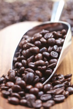 kahve çekirdekleri içinde Kepçe