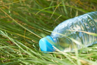 yeşil çim, su şişe kadar yakın