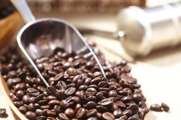 Coffee beans in scoop — Stock Photo, Image