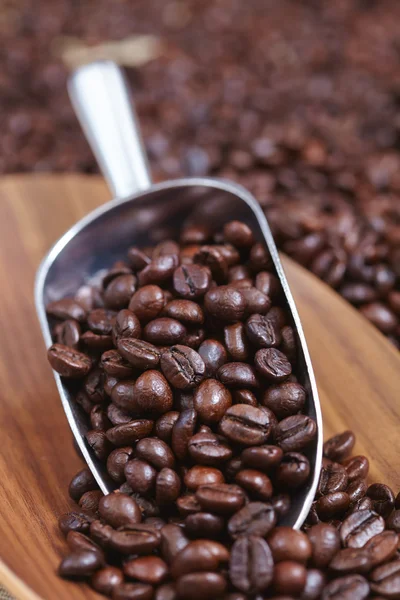 Kaffebönor i scoop — Stockfoto