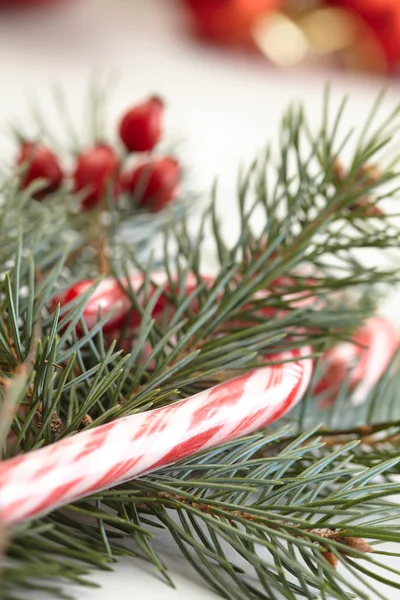 キャンディ コーンと果実 クリスマスの装飾の概念と松の枝 — ストック写真