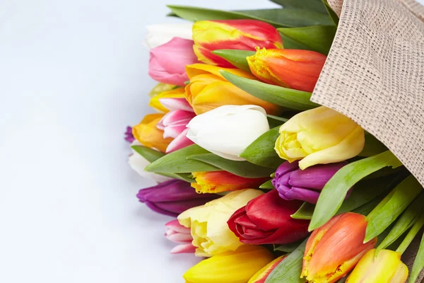 Schöne bunte Tulpen — Stockfoto