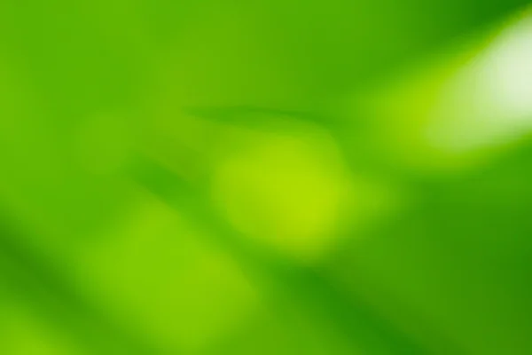 Abstrakt Naturlig Grön Suddig Bakgrund — Stockfoto