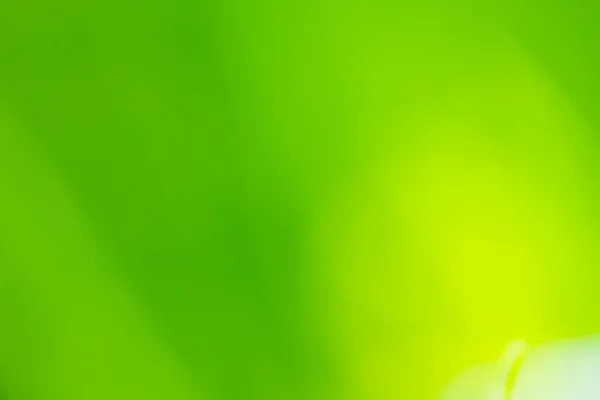 Abstrakt Naturlig Grön Suddig Bakgrund — Stockfoto