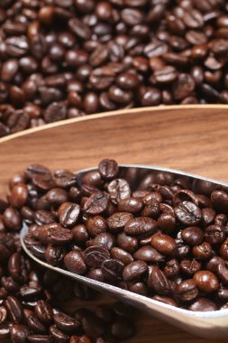 kahve çekirdekleri içinde Kepçe