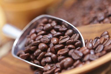 kahve çekirdekleri içinde Kepçe