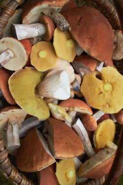 hasır sepet içinde mantar