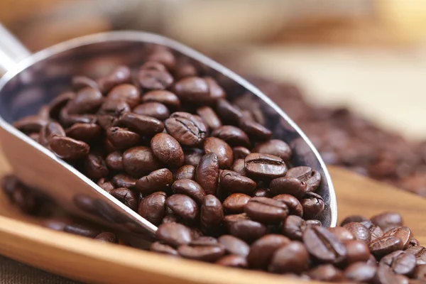 Coffee beans in scoop — Stock Photo, Image