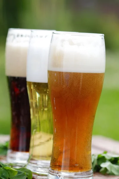 Glazen verschillende bier — Stockfoto