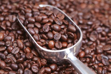 kahve çekirdekleri içinde Kepçe