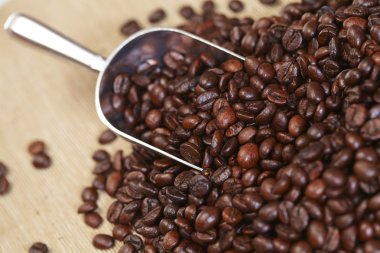 kahve çekirdekleri içinde Kepçe