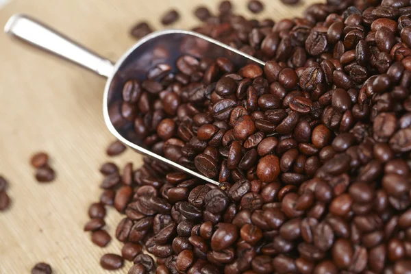 Coffee beans in scoop — Stock Photo, Image