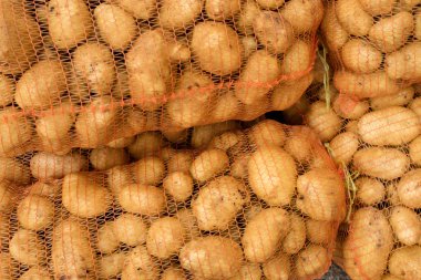 net paket patates